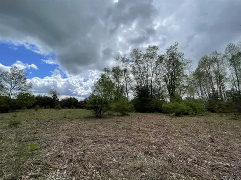 V/l 34.07 Roosevelt, Remus, MI 49340 photo 3