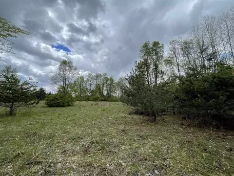 V/l 34.07 Roosevelt, Remus, MI 49340 photo 2