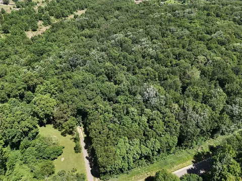 Vl Peavine, Dowagiac, MI 49047