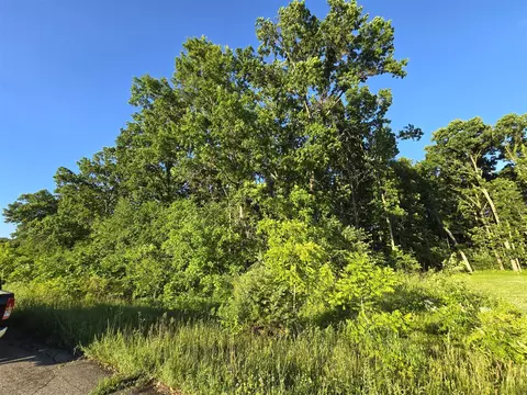 Lot 13 Embassy, Edwardsburg, MI 49112