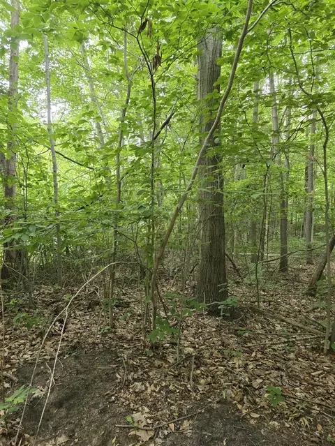 Lot D 64th, Holland, MI 49423