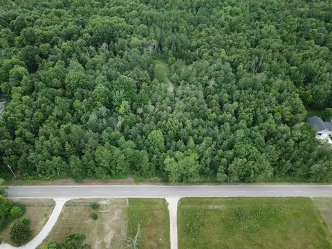 V/l S Peach, Grant, MI 49327 photo 10