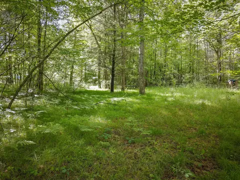 V/l E 68th, Chase, MI 49623 photo 9
