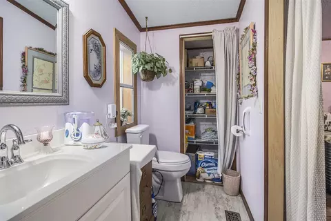 Bath - 118 Rachael Dr, Stanton, MI 48888 photo 4 of 4