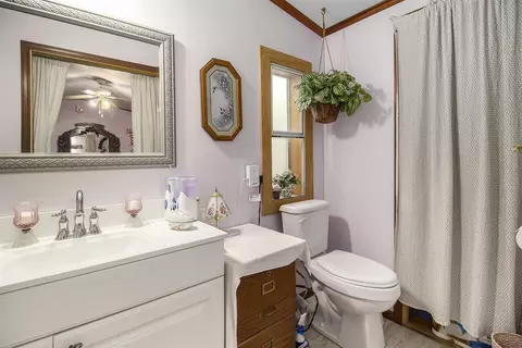 Bath - 118 Rachael Dr, Stanton, MI 48888 photo 2 of 4