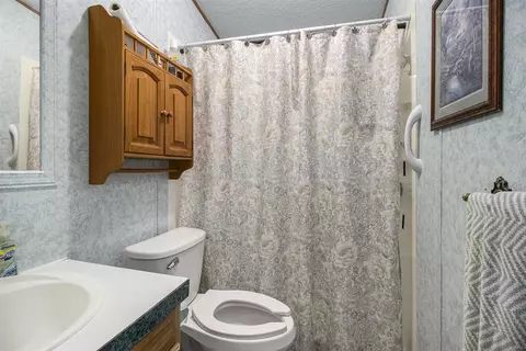 Bath - 118 Rachael Dr, Stanton, MI 48888 photo 1 of 4