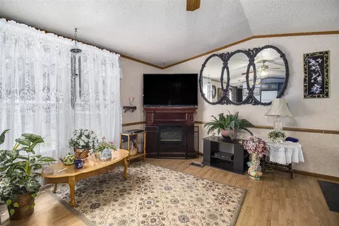 Living - 118 Rachael Dr, Stanton, MI 48888 photo 2 of 2