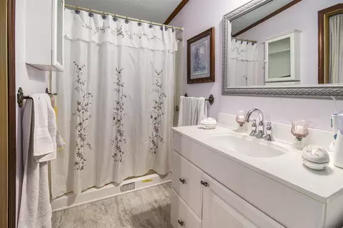 Bath - 118 Rachael Dr, Stanton, MI 48888 photo 3 of 4