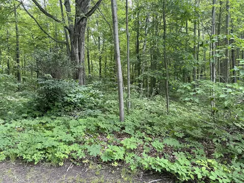 V/l W Beech, Ludington, MI 49431