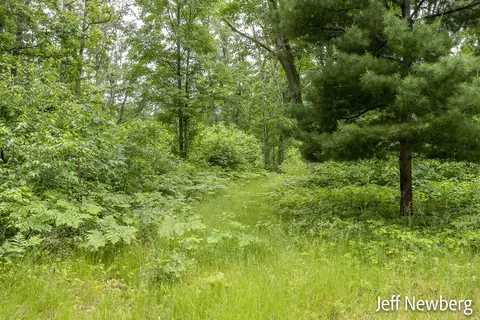 789 Washington, White Cloud, MI 49349 photo 68