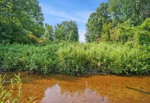 56 Th, Fennville, MI 49408