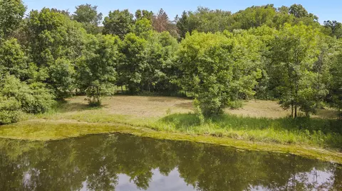19600 Ivey, Chelsea, MI 48118