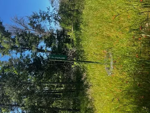 2 Michigan 37, Irons, MI 49644 photo 10
