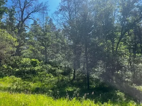 2 Michigan 37, Irons, MI 49644