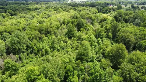 Parcel 2 68th, Allendale, MI 49401 photo 8