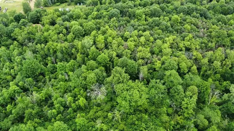 Parcel 2 68th, Allendale, MI 49401 photo 6