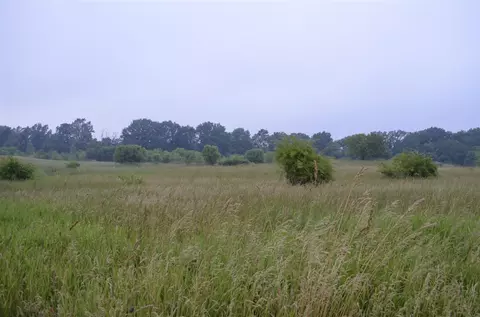 V/l 72nd, Lawton, MI 49065