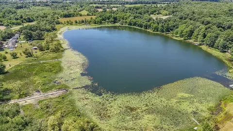 10156 M 216, Marcellus, MI 49067 photo 12