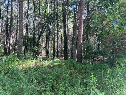 Nash, Twin Lake, MI 49457