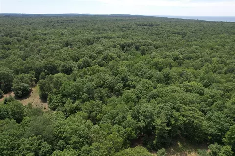 40 W Acre W Jackson, Pentwater, MI 49449