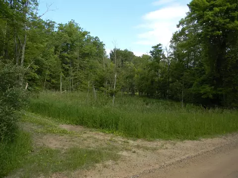 N Peterson, Ludington, MI 49431