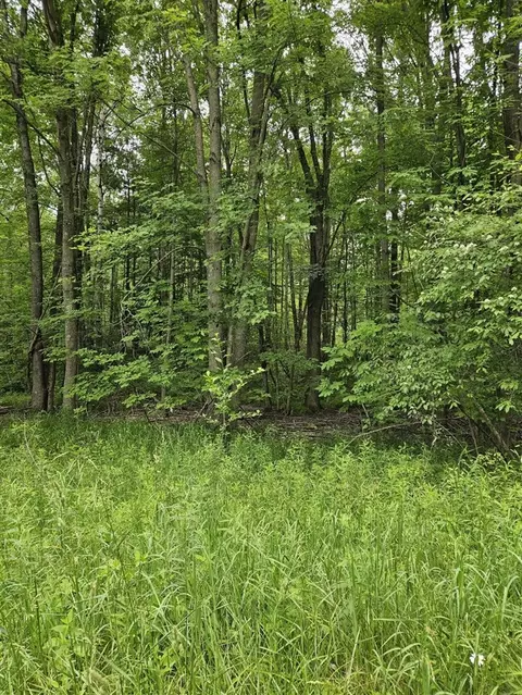 00 Cayuga, Evart, MI 49631 photo 6