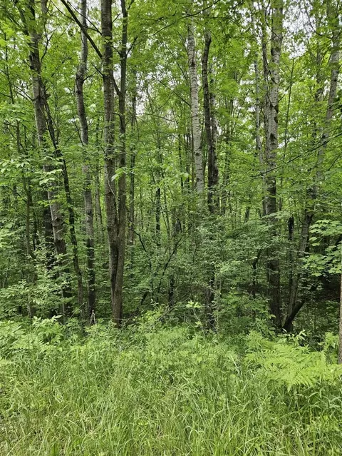 00 Cayuga, Evart, MI 49631 photo 2