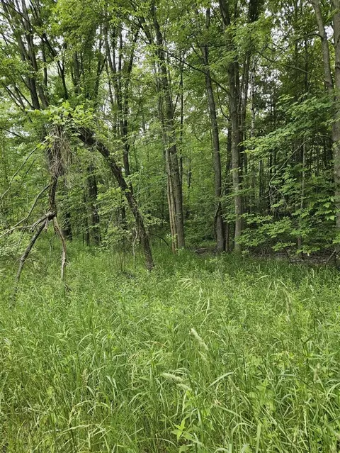 00 Cayuga, Evart, MI 49631 photo 4