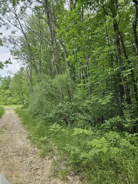 00 Cayuga, Evart, MI 49631 photo 3