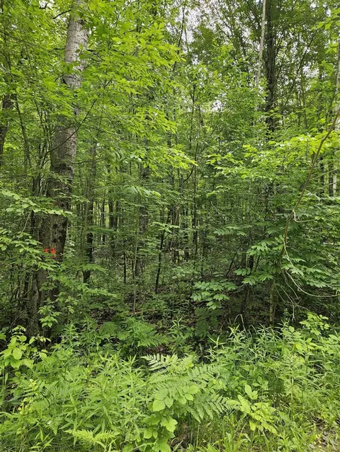 lot627 Pawnee, Evart, MI 49631