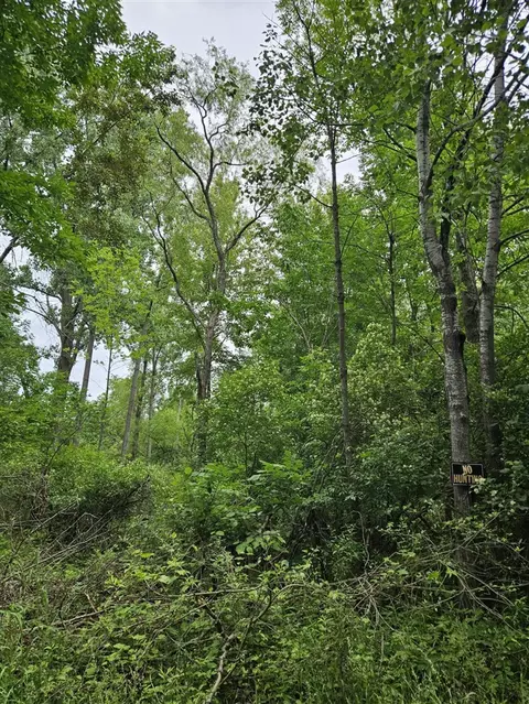 Lot 651 Sarsi, Evart, MI 49631