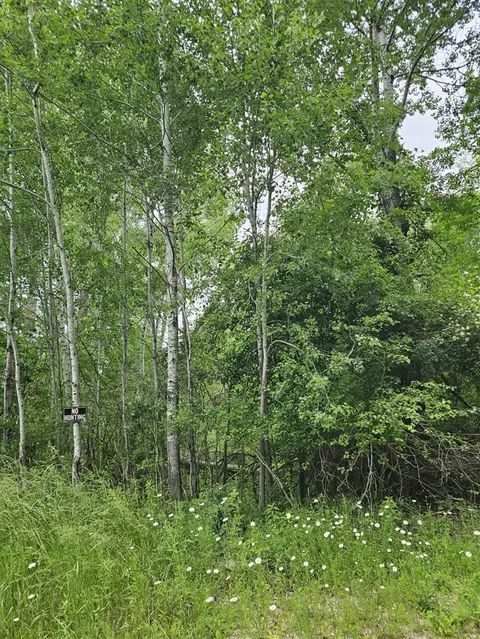 Lot 651 Sarsi, Evart, MI 49631 photo 2