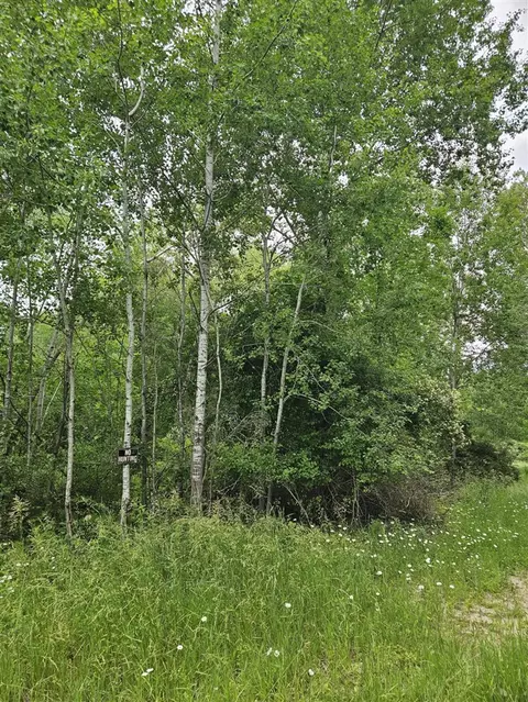 Lot 651 Sarsi, Evart, MI 49631 photo 3