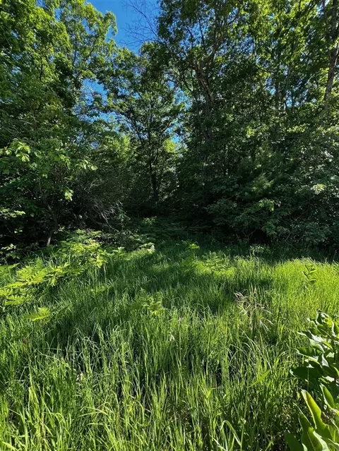 0 Skeels, Rothbury, MI 49452