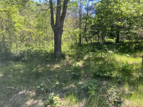 7712 Bryan, Baldwin, MI 49304 photo 14