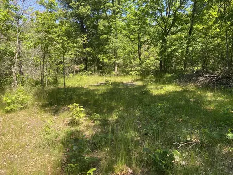 7712 Bryan, Baldwin, MI 49304 photo 13