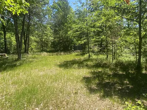 7712 Bryan, Baldwin, MI 49304 photo 4