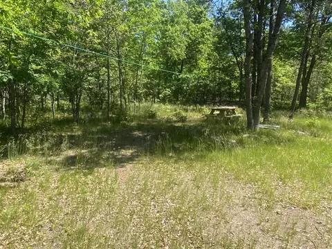 7712 Bryan, Baldwin, MI 49304 photo 7