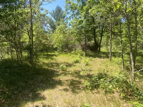 7712 Bryan, Baldwin, MI 49304 photo 5