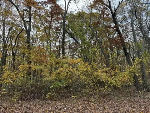 V/l 131st, Saugatuck, MI 49453