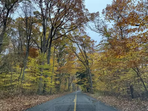 V/l 131st, Saugatuck, MI 49453