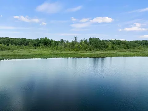 V/l Calvin Center, Cassopolis, MI 49031 photo 6