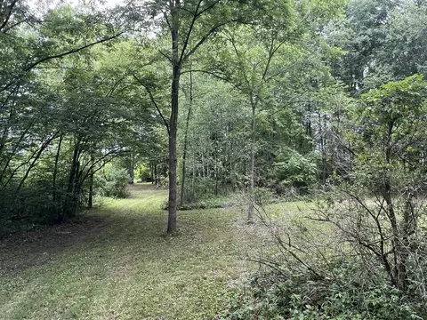 V/l Calvin Center, Cassopolis, MI 49031 photo 8