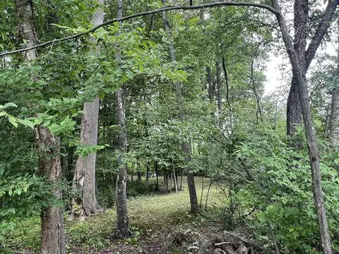 V/l Calvin Center, Cassopolis, MI 49031 photo 10