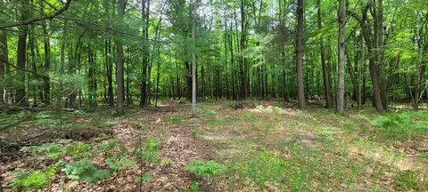 Tolliver, Mears, MI 49436 photo 7