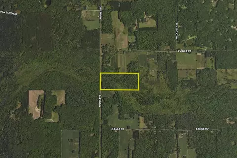 2828 N Pine Ave, White Cloud, MI 49349 photo 24