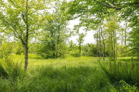 2828 N Pine Ave, White Cloud, MI 49349 photo 19