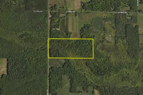 2828 N Pine Ave, White Cloud, MI 49349 photo 23