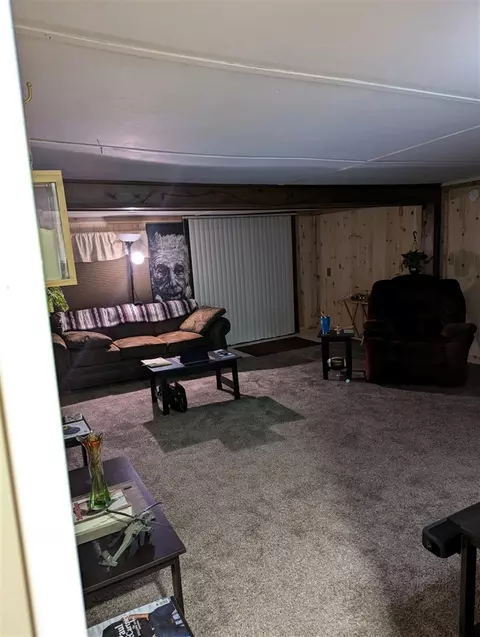 1267 W Channel, Bitely, MI 49309 photo 56