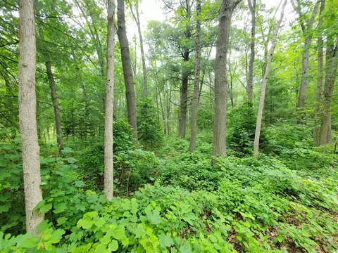 W 110th, Pullman, MI 49450
